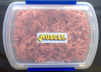 Complete Flesh MUSCLE Set