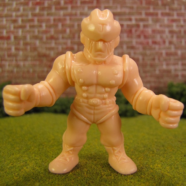 New MUSCLE Figure