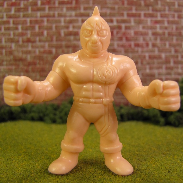 New MUSCLE Figure
