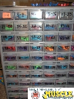 Organized Extra Color Figures