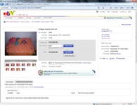2nd Auction - Relisted Screen Shot
