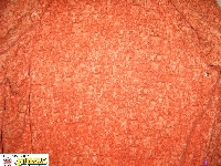 Sweatshirt Fabric Pattern #1